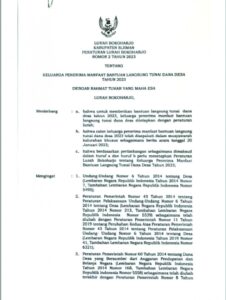 PERLUR NO 2 TAHUN 2023 TENTANG KPM BLT DD TAHUN 2023